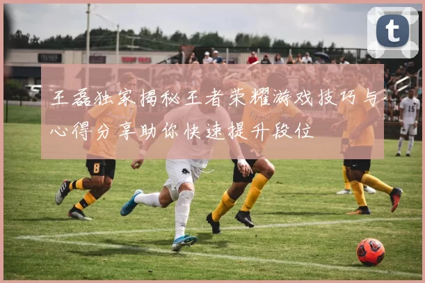 王磊独家揭秘王者荣耀游戏技巧与心得分享助你快速提升段位