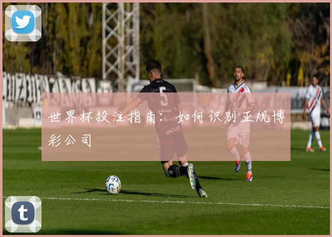 世界杯投注指南:如何识别正规博彩公司