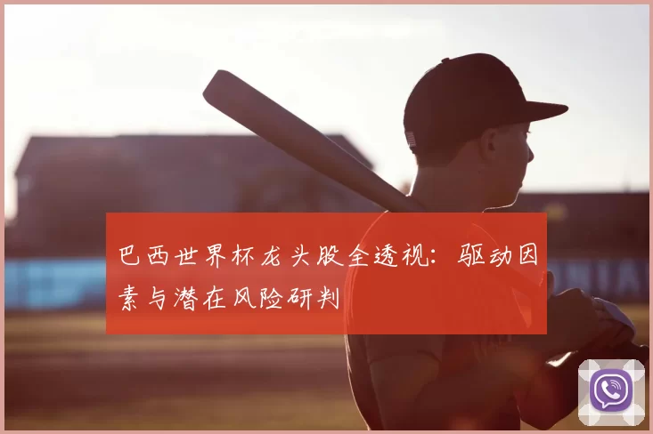 巴西世界杯龙头股全透视:驱动因素与潜在风险研判