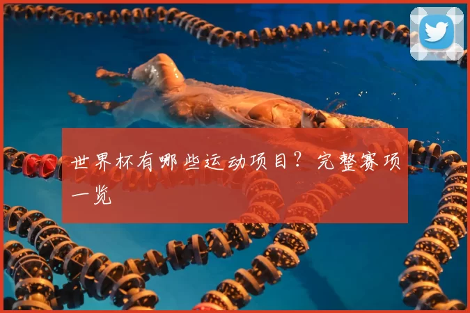世界杯有哪些运动项目?完整赛项一览