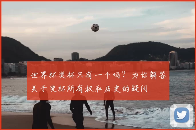 世界杯奖杯只有一个吗？为你解答关于奖杯所有权和历史的疑问
