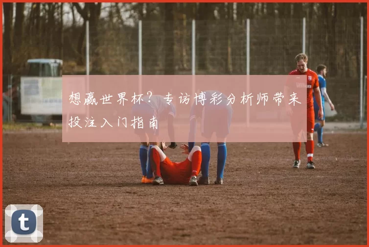 想赢世界杯?专访博彩分析师带来投注入门指南