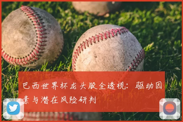 巴西世界杯龙头股全透视:驱动因素与潜在风险研判