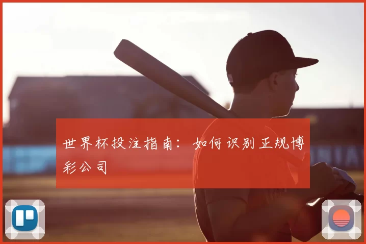 世界杯投注指南:如何识别正规博彩公司