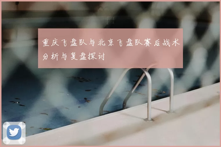 重庆飞盘队与北京飞盘队赛后战术分析与复盘探讨