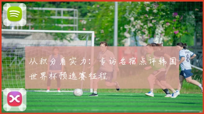从积分看实力:专访名宿点评韩国世界杯预选赛征程